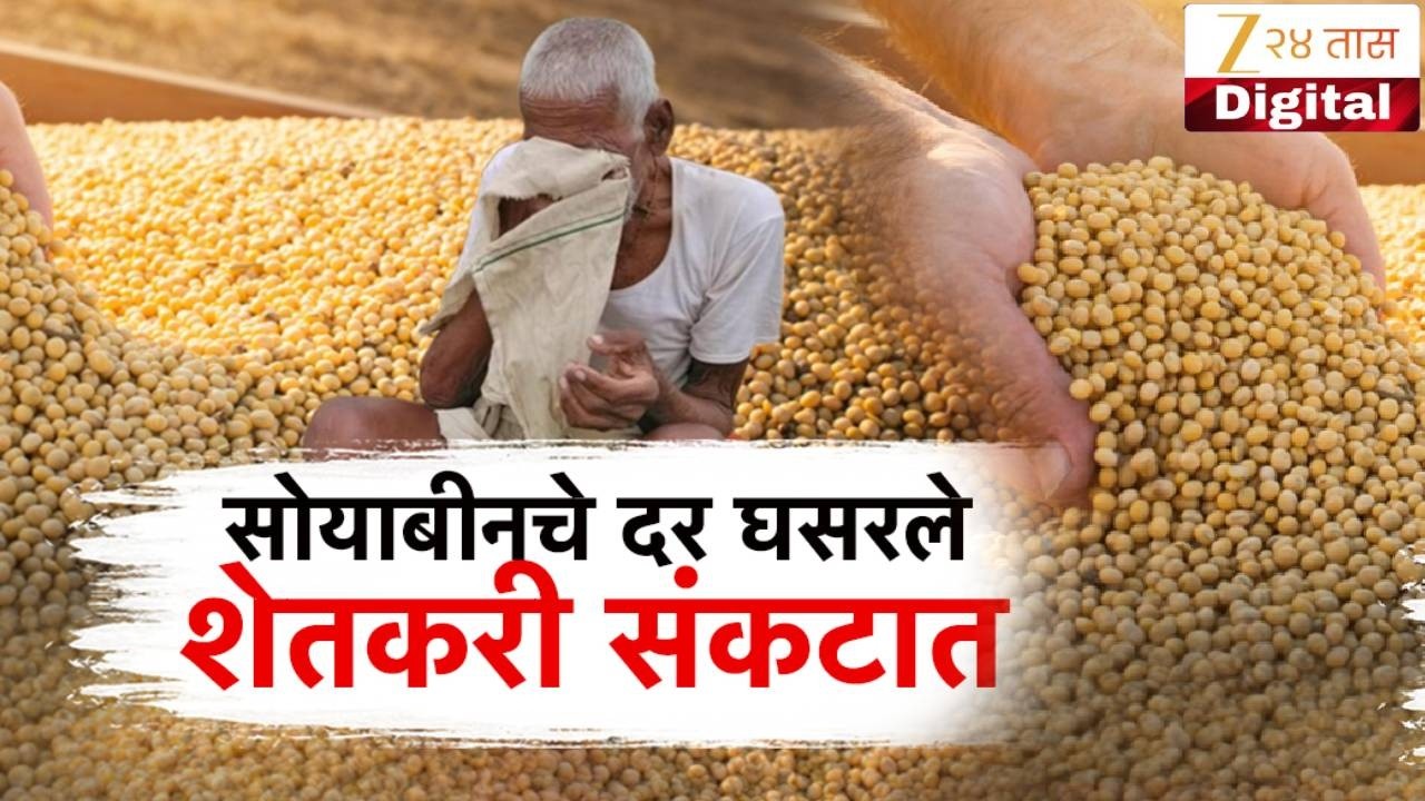 Special Report | Soybean Producing |  सोयाबीनच्या दरात घसरण शेतकरी संकटात | Zee24Taas