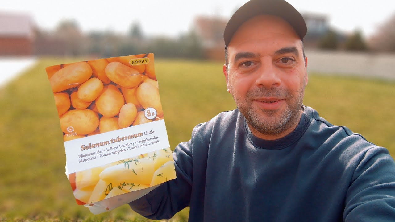 🇩🇪 مشروع زراعة البطاطس 🥔 في ألمانيا 🤯 لا يفوتكم
