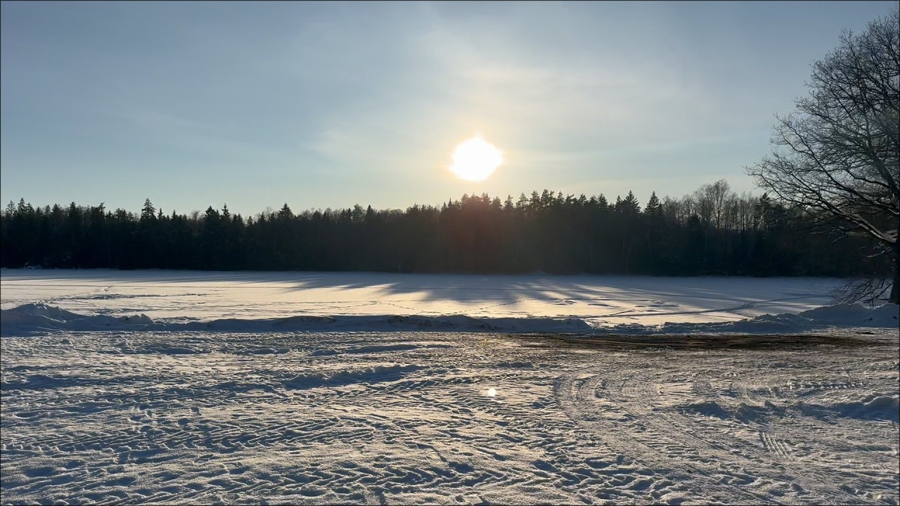 Winter Walk in Belarusian Forest