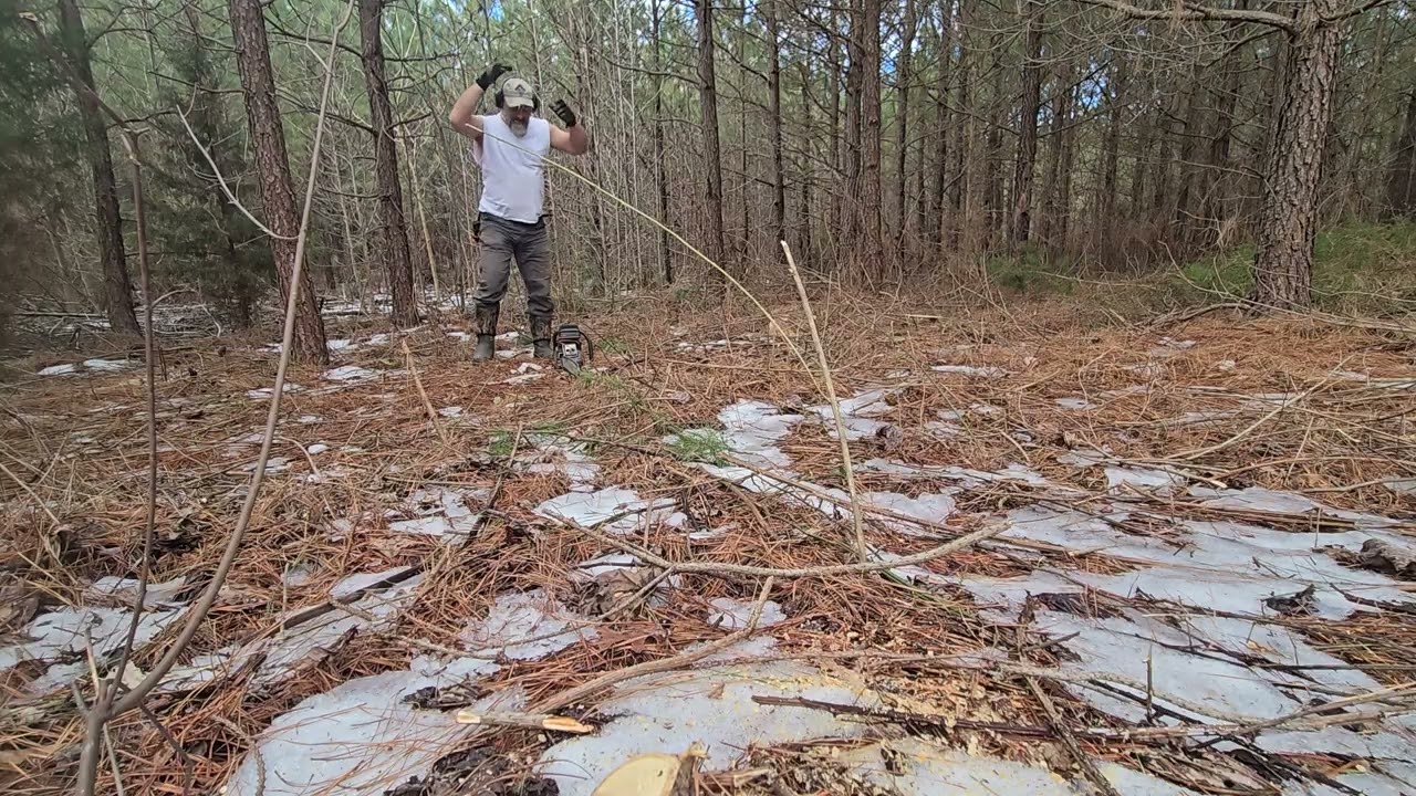 Cut it.  Pick it up.  Put it down.  Repeat repeat repeat.