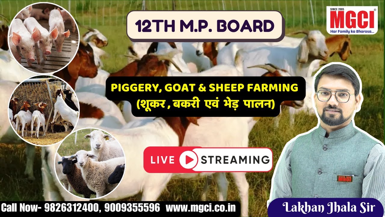 12th MP Board Live Class for Agri. Students :: Animal Husbandry:: PIGGERY, GOAT & SHEEP FARMING