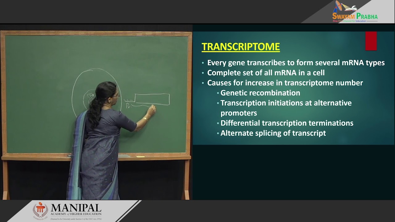 Post translational modifications