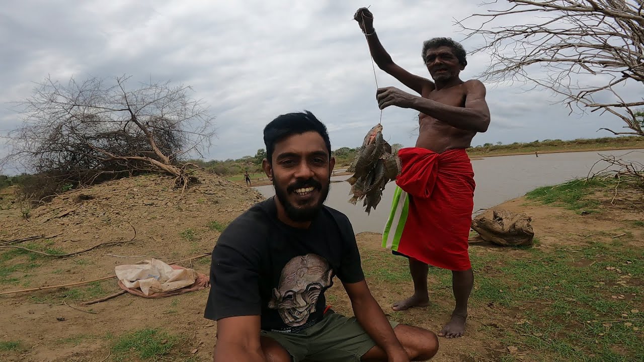 සිදී යන..ඉඳි වැවේ මාළු 🍃🐘@IslandFishing2 පියසේන මාමාගේ වාඩියට..👣🐖