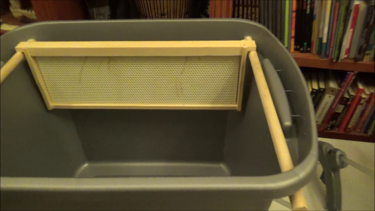 DIY plastic swarm trap