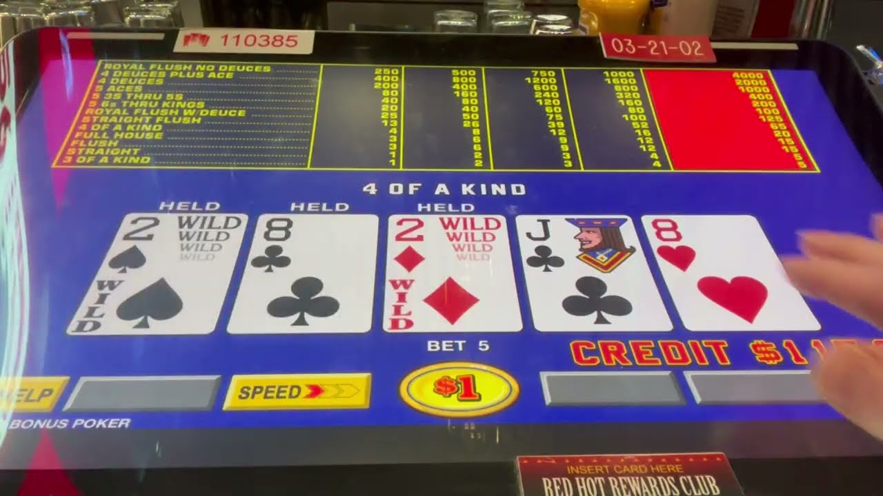 Dacey’s Sportsbook Video Poker 