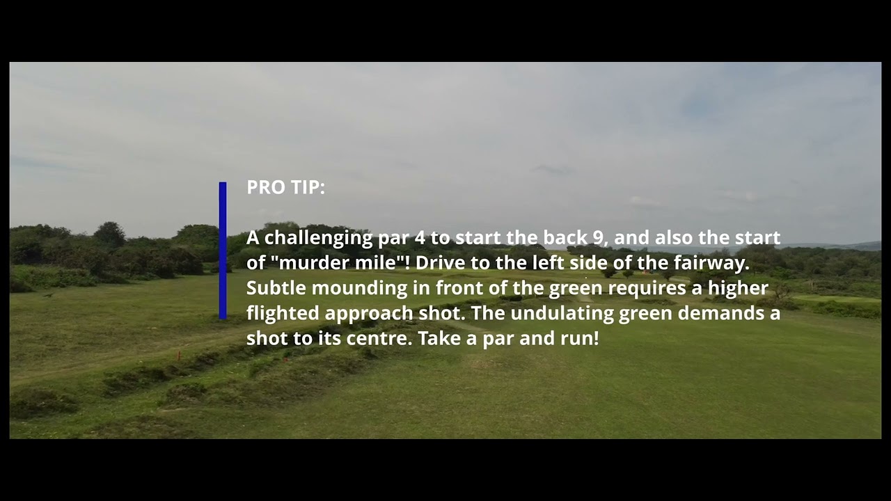 yelverton gc   hole 10