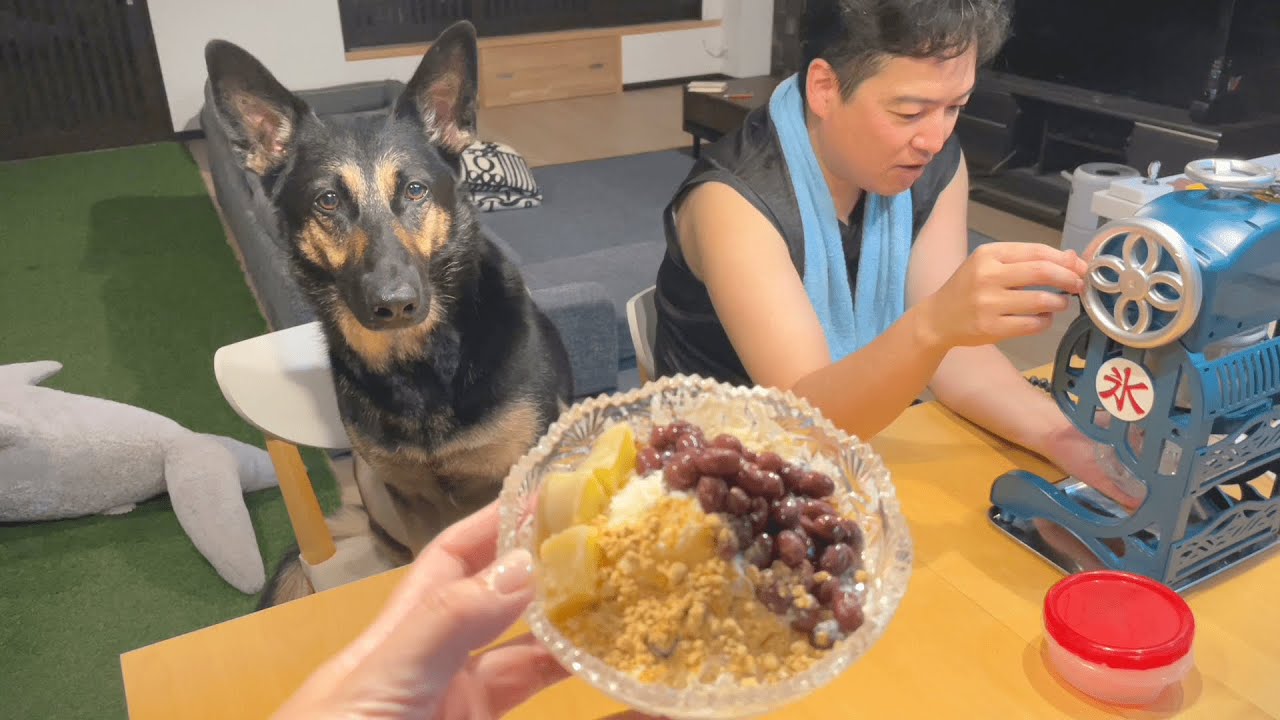 愛犬とパッピンス（韓国風かき氷）作って食べたら、大騒動になりましたｗ