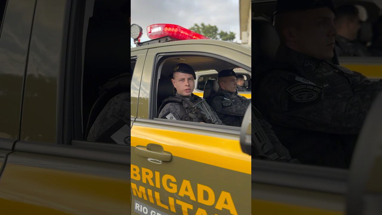 Novas viaturas adaptadas para c&atilde;es - BMRS