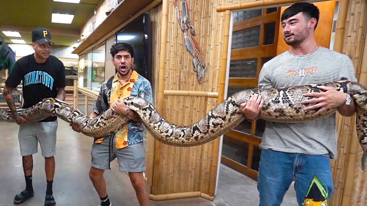 We held the world's biggest snake!