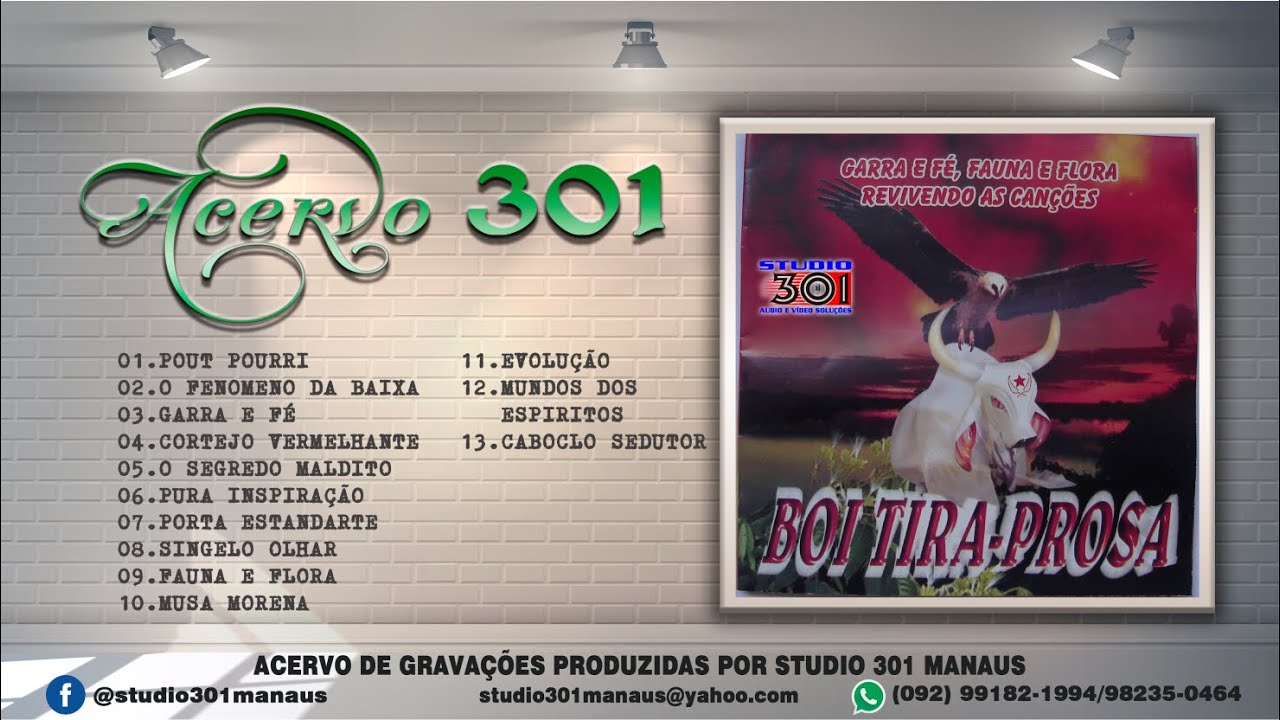 ACERVO 301 -  BOI BUMBA TIRA PROSA 2004 - GARRA E FÉ, FAUNA E FLORA REVIVENDO AS EMOÇÕES