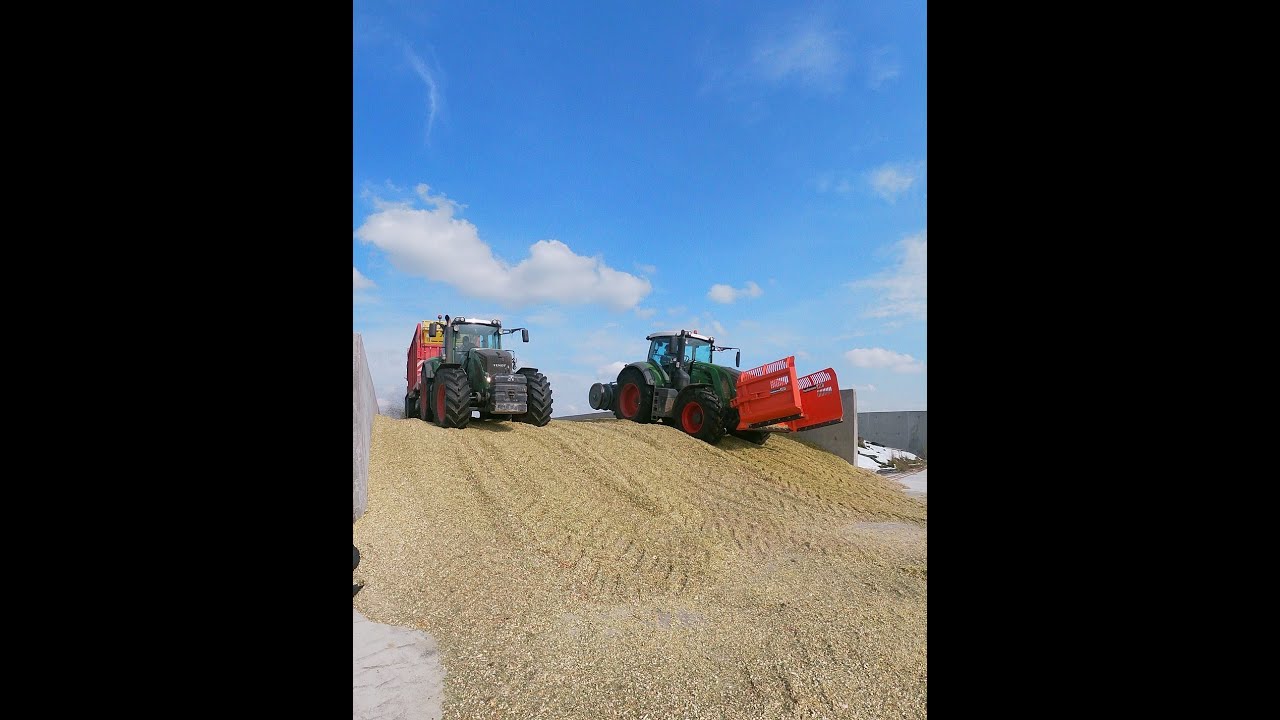 Koszenie 50 hektar&oacute;w kukurydzy na kiszonkę w GR Czapski Krone X600 Fendt 824 927 930 933 JD vlog #70
