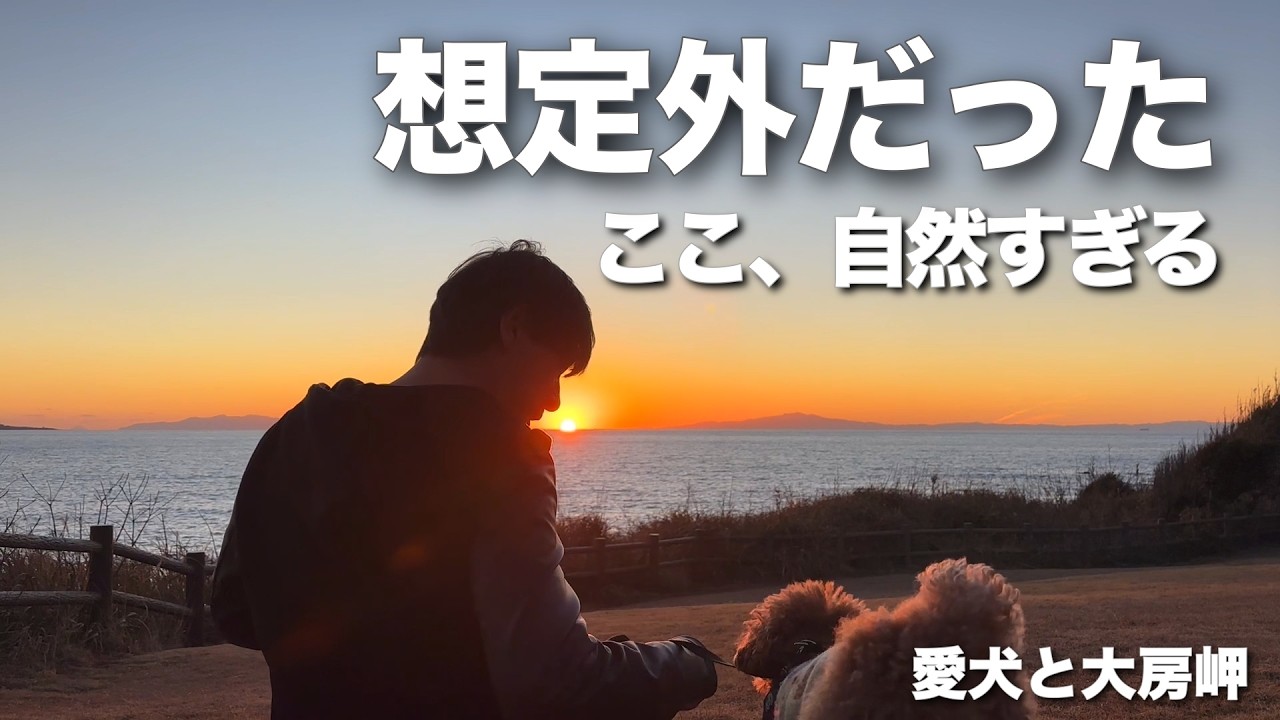 【気づいたら、自然の中だった】愛犬と 大房岬自然公園