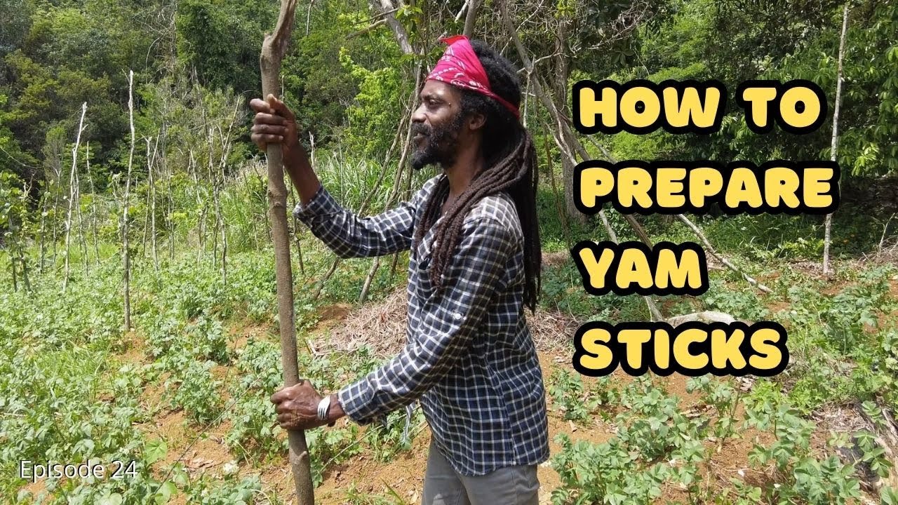How To Prepare YAM STICKS, The Ancient Jamaican Way
