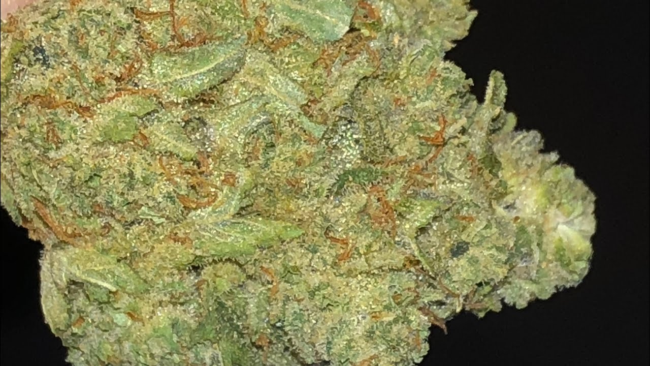 Gorilla Glue #5 strain review!!!