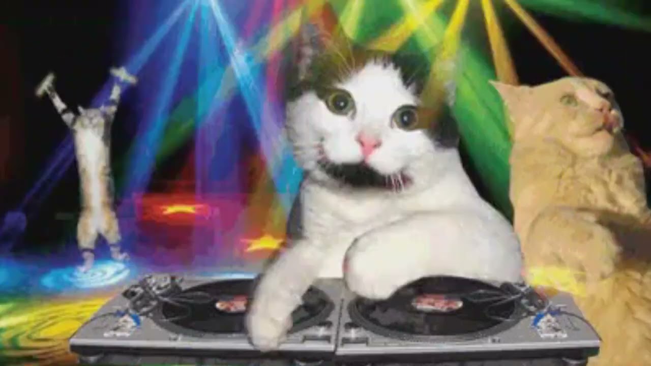 [😺🕺SOLVED] DJ Blas - Peace Of Mind (feat. Loar) (2006)