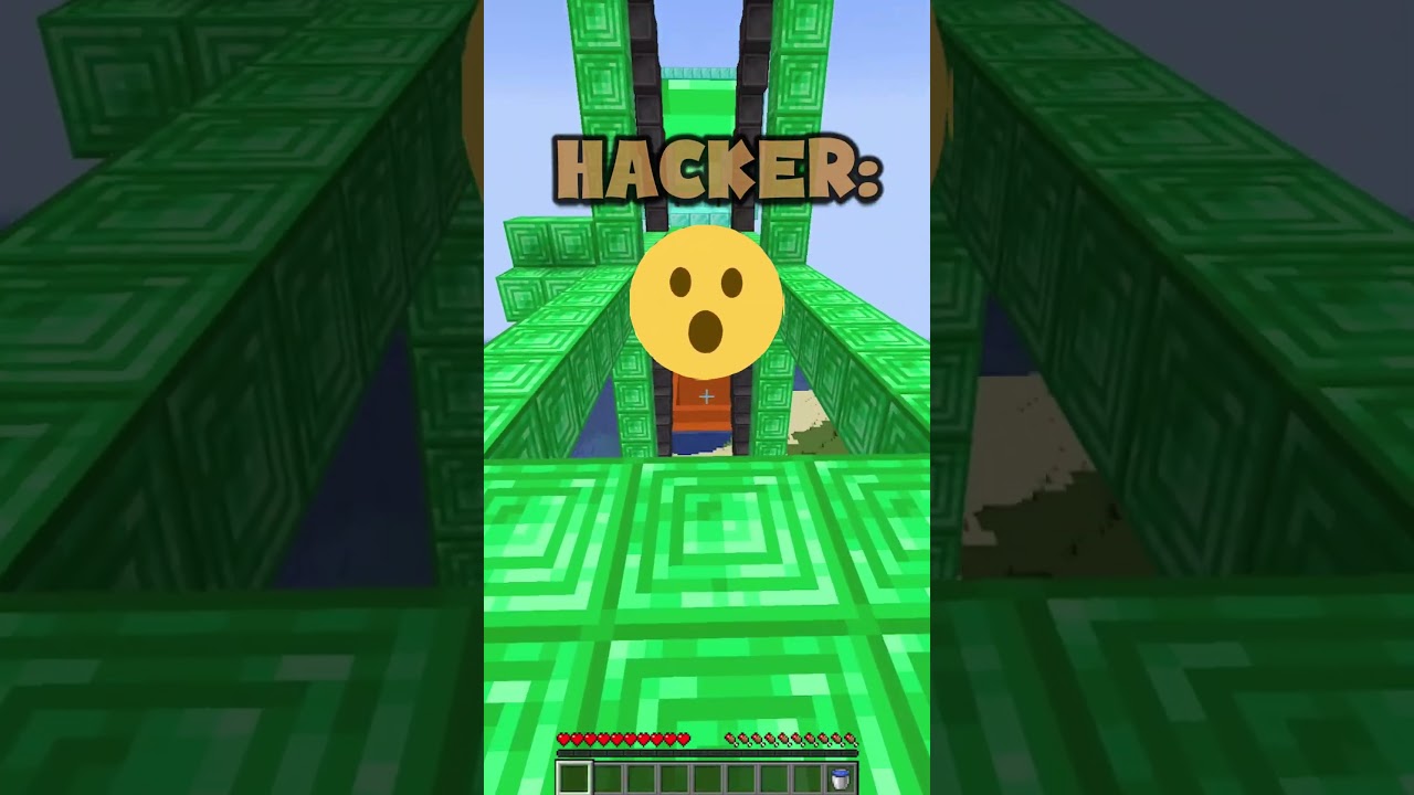 PLAZA vs NOOB vs PRO vs HACKER In Minecraft!