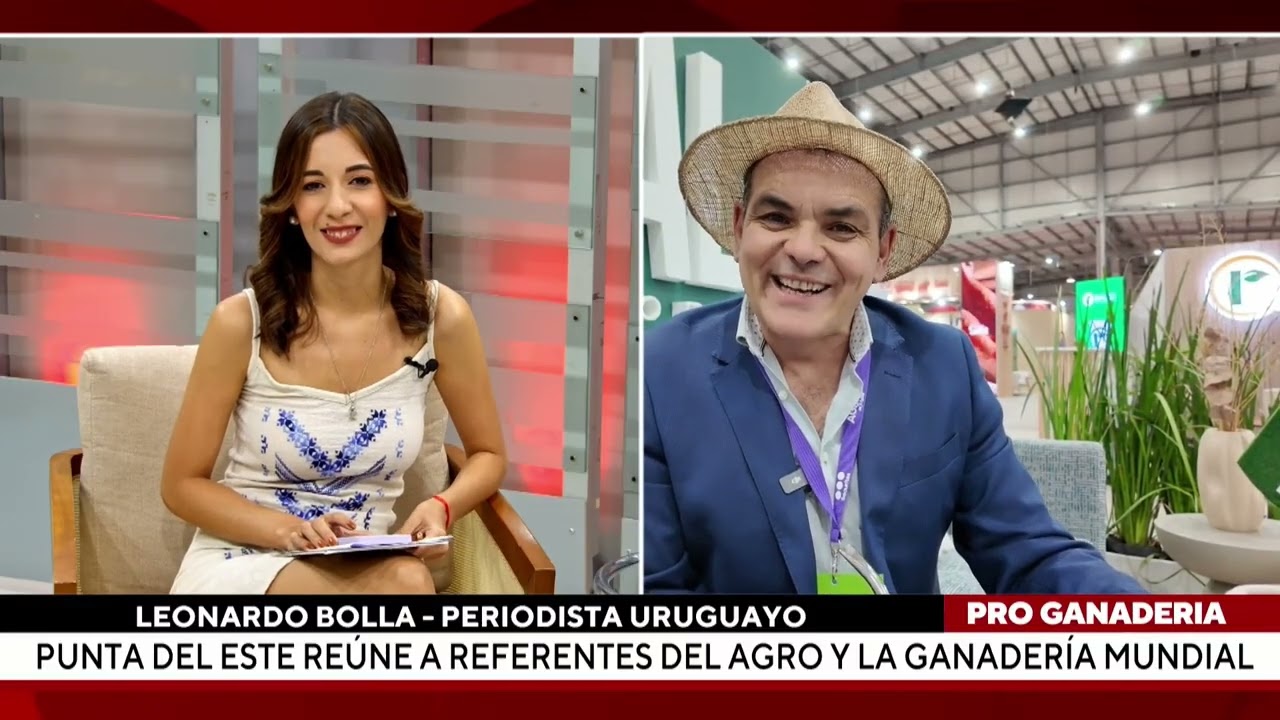 Producción de huevo:  Oferta, ritmo y demanda estacional - Parte 2