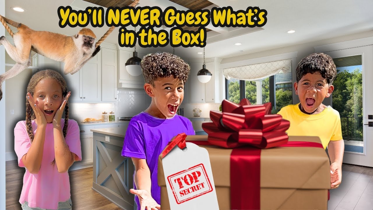 She Thought It Was Just a Box… Then This Happened 😱
