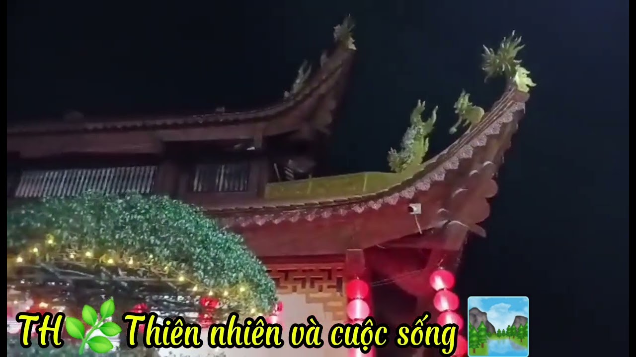 158 # Lễ Phật đầu năm chùa Sậy, Minh Tân, Phù Cừ,Hưng Yên. 