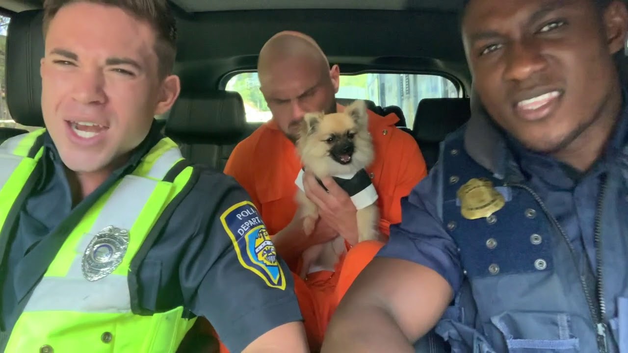 Carpool Karaoke 2!