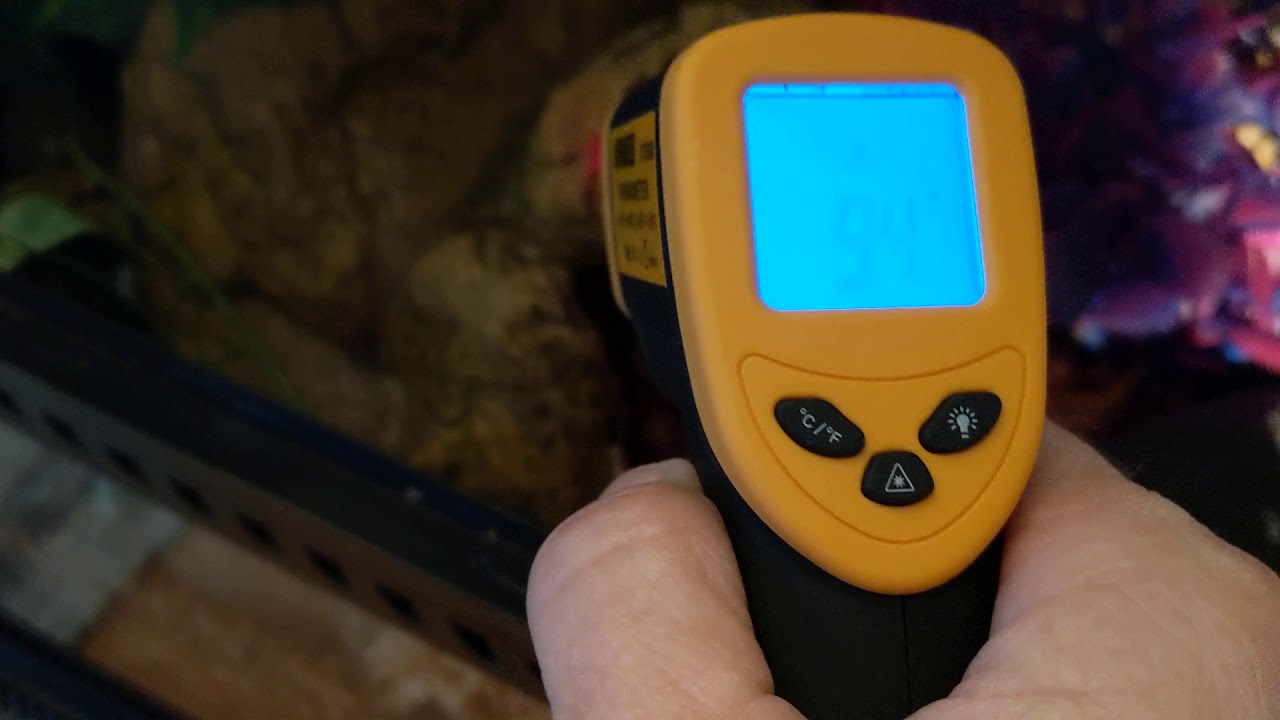 Heat and Humidity for ball python