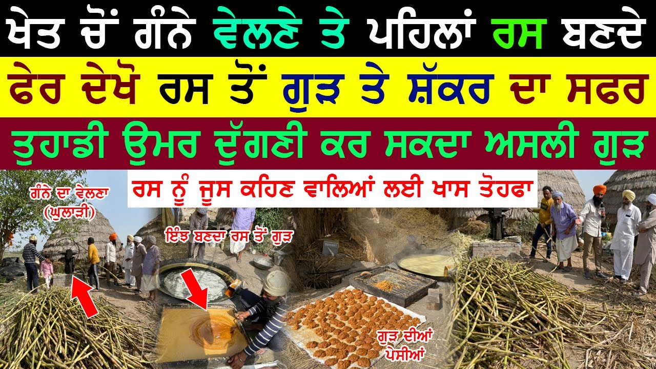 ਗੰਨੇ ਦੇ ਰਸ ਤੋਂ ਕਿਵੇਂ ਬਣਦਾ ਹੈ ਗੁੜ ਅਤੇ ਸ਼ੱਕਰ | ਦੇਖੋ ਅਲੋਪ ਹੁੰਦਾ ਜਾਂਦਾ ਵਿਰਸਾ | jaggery Making process