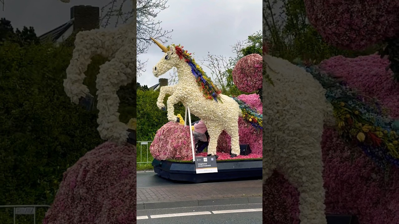 Blumenkorso in Holland 🌷🌸🇳🇱 #lisse #unicorn #unicorns #keukenhof #blumenkorso #einhorn  #tulpen