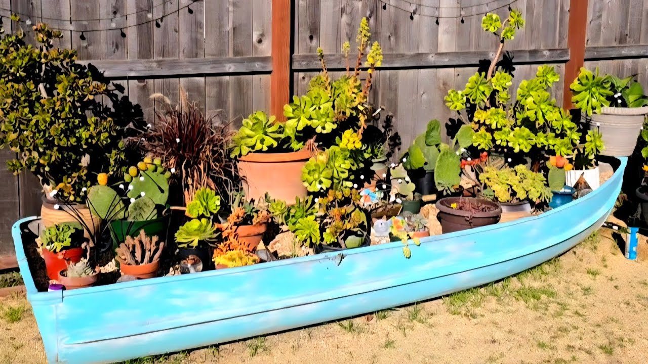 I left my garden and Tiny Tortoise for a week. How did it go?