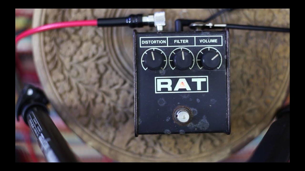 ProCo Rat