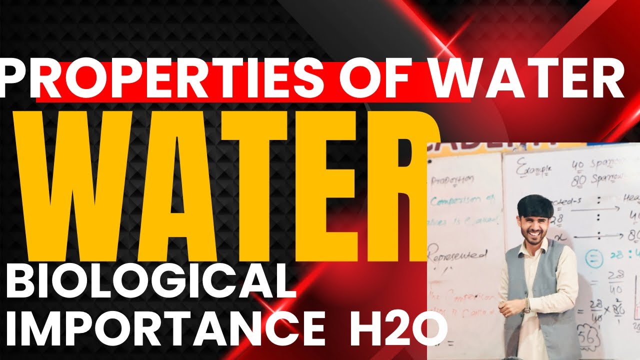 Properties of water. Pani ki khasosiyat. Biological importance of Water. Water as universal solvent 