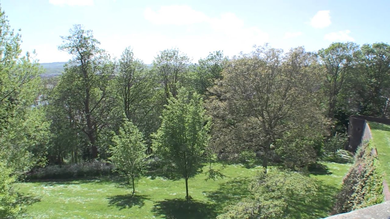 The secret gardens of Goldney Hall in Bristol - hidden grottos and a Sherlock film location
