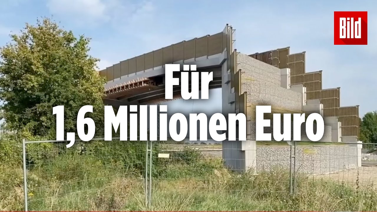 Deutsche Bahn baut Fledermaus-Br&uuml;cke, obwohl ihr Nutzen nicht belegt ist