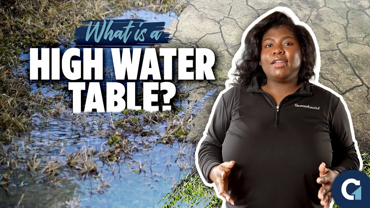 High Water Table: What It Is & How It Affects Your Home