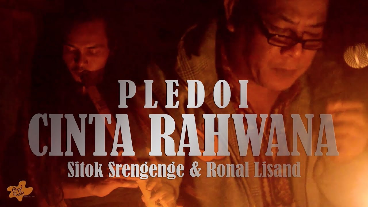 PLEDOI 