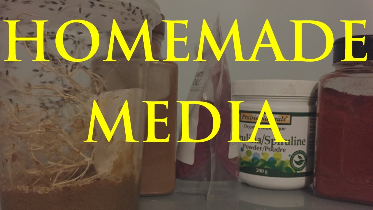 Самодельная среда от плодовых мух!!