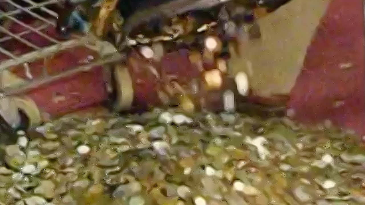 One of the Largest Coin Collections at Auction
