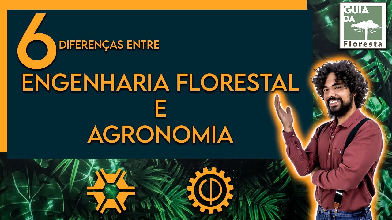 6 DIFERENÇAS ENTRE ENGENHARIA FLORESTAL E AGRONOMIA