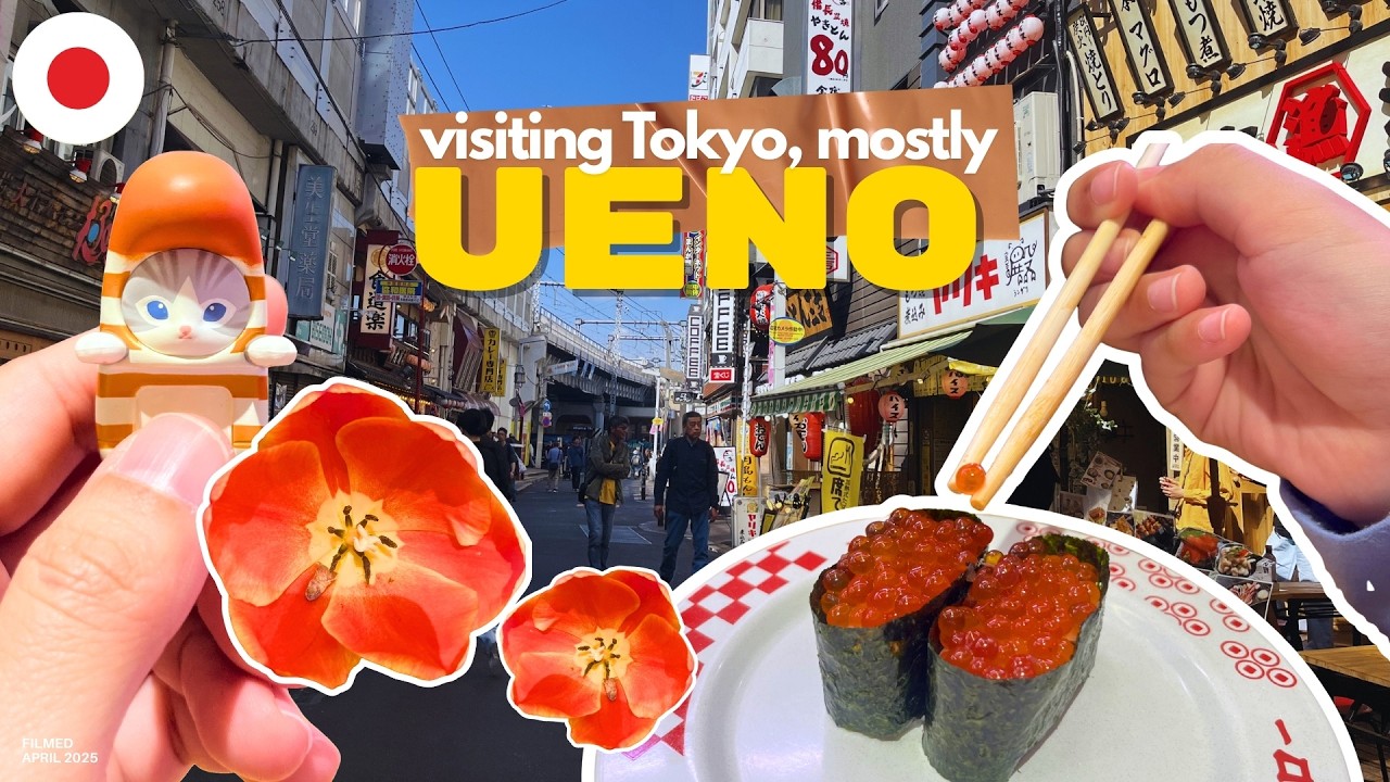 2 Days in Tokyo, 1 spent in my favorite area, Ueno | Keisei Skyliner Narita Airport to Ueno