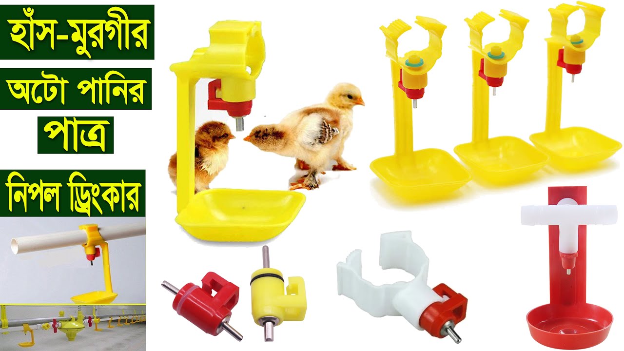 Nipple Drinker For Chicken হাঁস-মুরগীর পানি খাবার অটো নিপল ড্রিংকার কিভাবে সেট করবেন এবং মান ও মূল্য