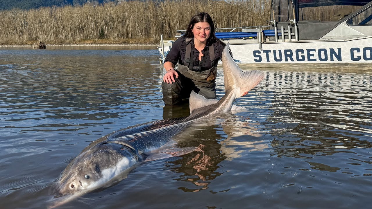 Camping and Fishing for Sturgeon in British Columbia