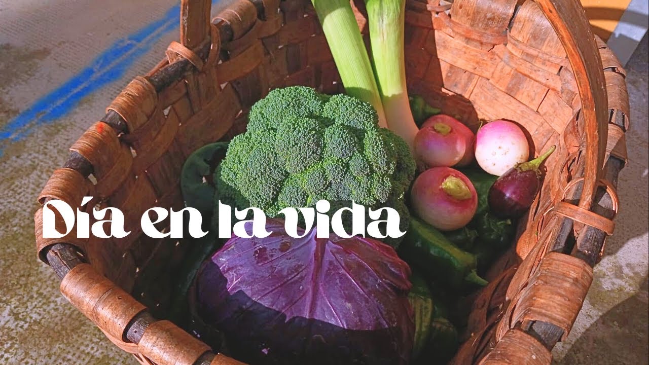 ¿¿Cómo es VIVIR en la CIUDAD y tener una HUERTA?? // DÍA EN LA VIDA