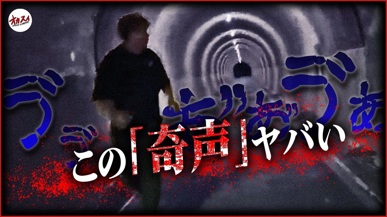 【心霊】再心霊掃除依頼 / 生配信中に “ヤバすぎる奇声” が聞こえた横須賀の心霊トンネル