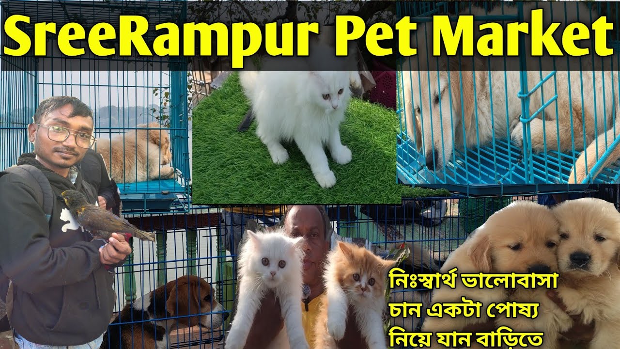 Sreerampur Pet Market|শ্রীরামপুর পেট মার্কেট|Pet Market in westbengal|Pet Market 