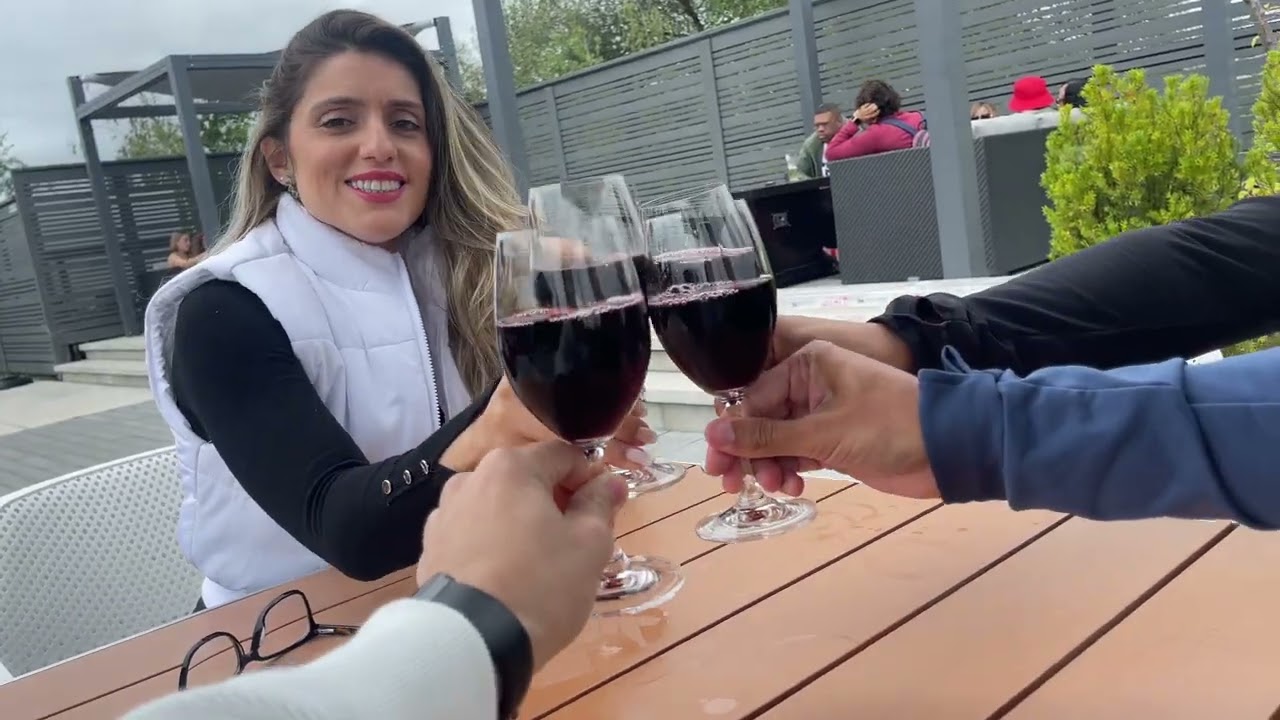 Imperdíveis vinícolas em Niágara Falls no Canadá!! O melhor tour!