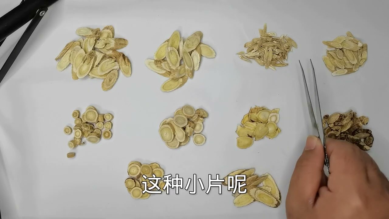 揭秘系列——黄芪：甘肃黄芪、内蒙黄芪、野生黄芪，哪个更好？#听说发第二遍会火 #黄芪 #中药 #中药鉴别