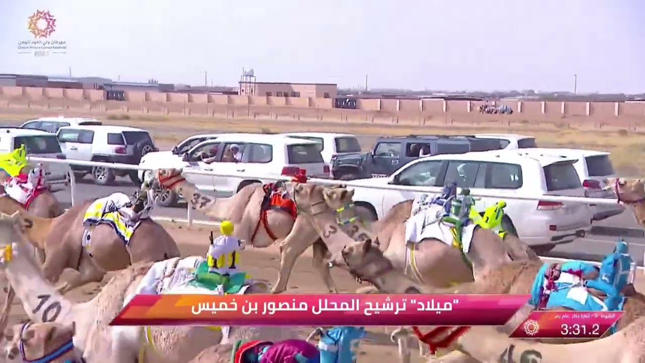 الشوط 3 رمز لقايا بكار عام مساء يوم السبت 2-9-2023 من #مهرجان_ولي_العهد_للهجن