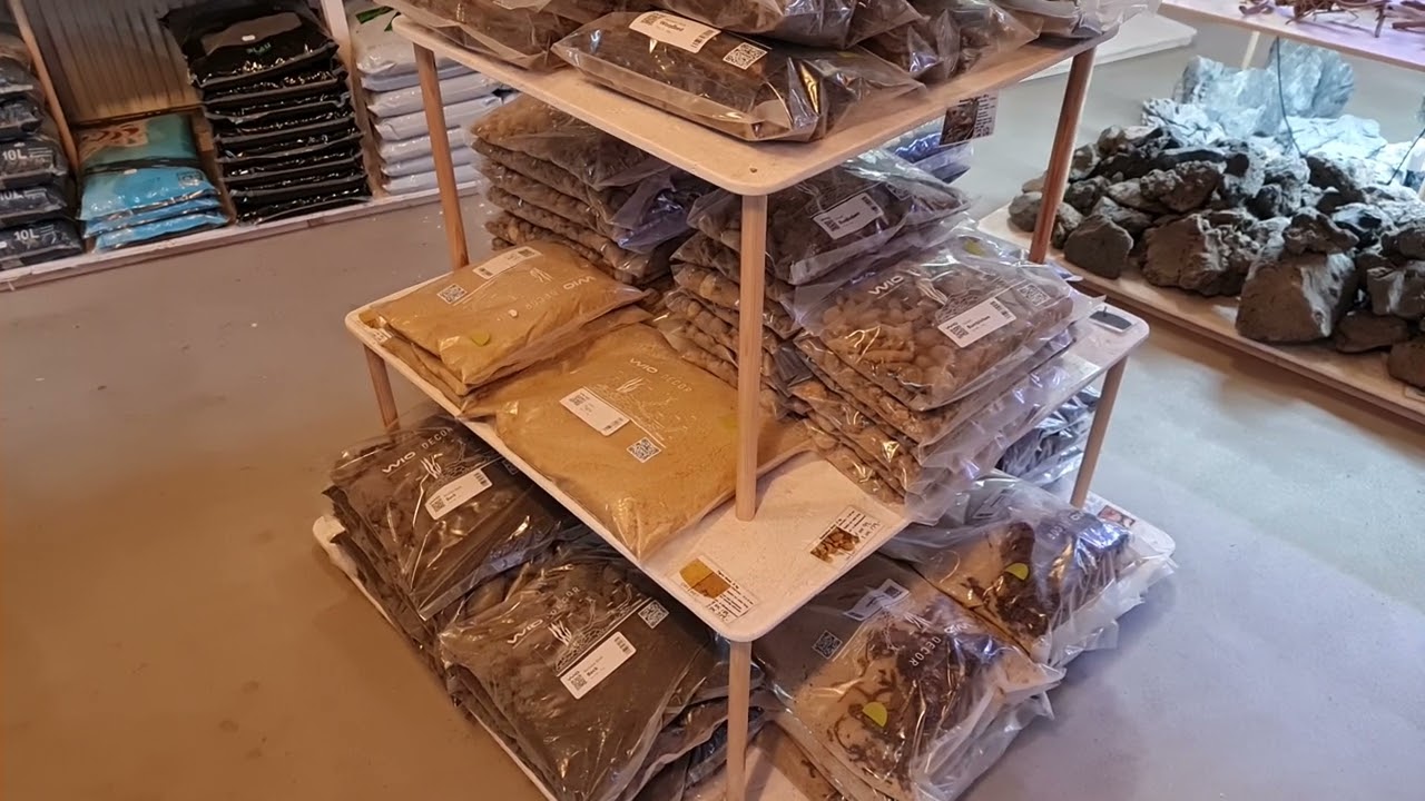 Fredagsfilm - Wio bundlag, Wio akvarier og nye planter!