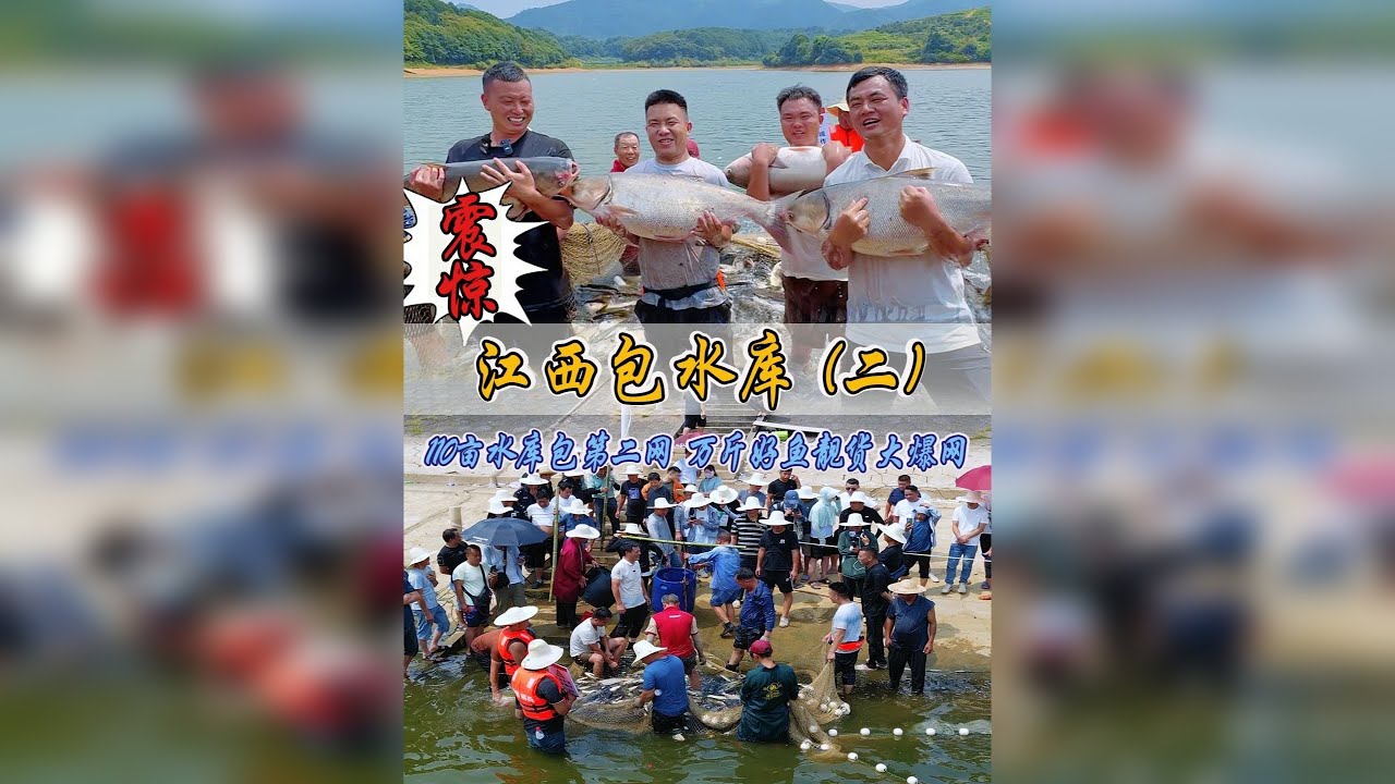 花5万块包下小飞哥水库第二网，万斤好鱼靓货大爆网！