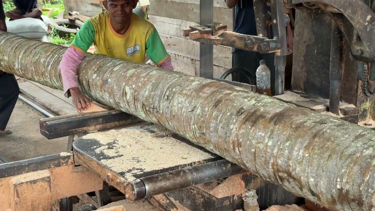 Processing Coconut Wood into 2x20 Quickly and Accurately