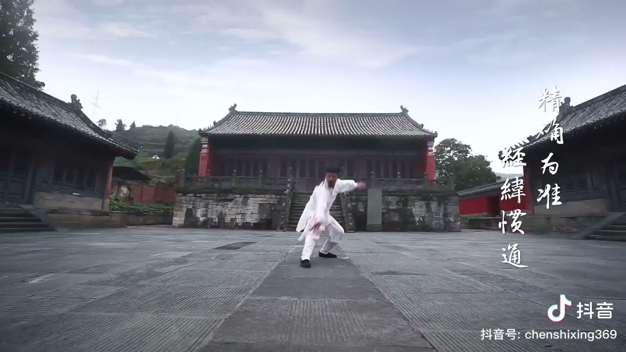 師行太極心法 陳師行道长 Taiji perception      master chen shixing